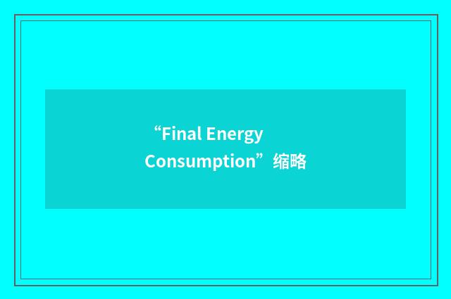 “Final Energy Consumption”缩略