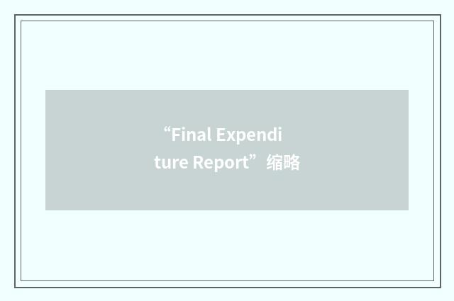 “Final Expenditure Report”缩略