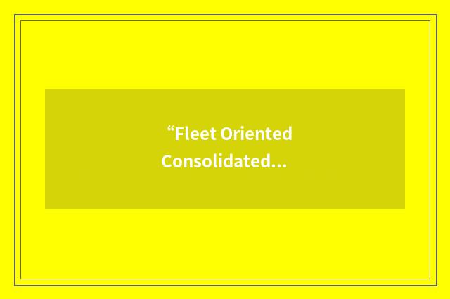 “Fleet Oriented Consolidated Stock List”缩略
