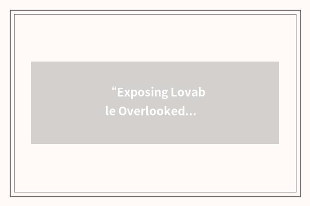 “Exposing Lovable Overlooked Characters”缩略