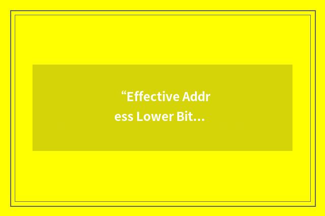 “Effective Address Lower Bits”缩略
