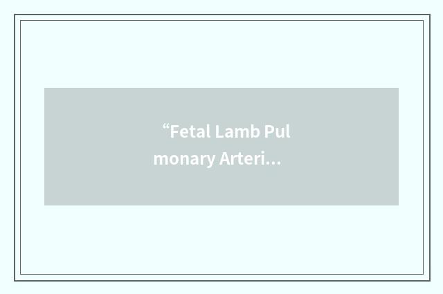 “Fetal Lamb Pulmonary Arterial Smooth Muscle Cells”缩略