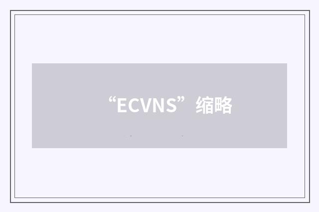 “ECVNS”缩略