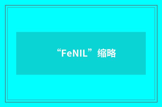 “FeNIL”缩略
