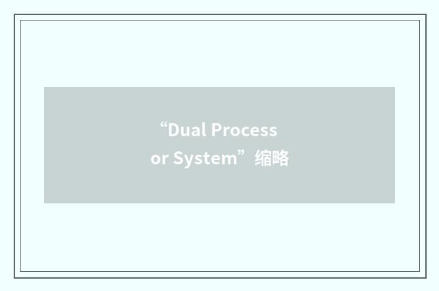 “Dual Processor System”缩略