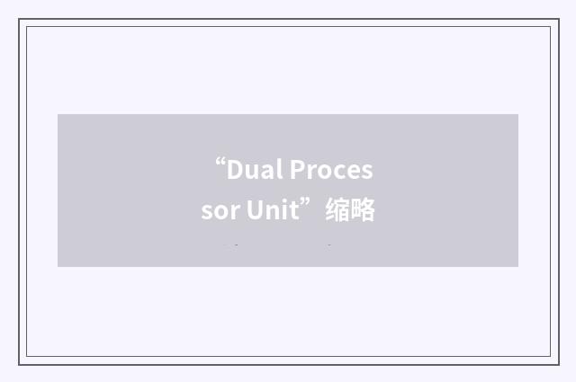 “Dual Processor Unit”缩略