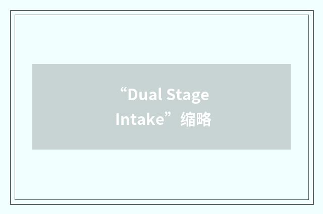 “Dual Stage Intake”缩略