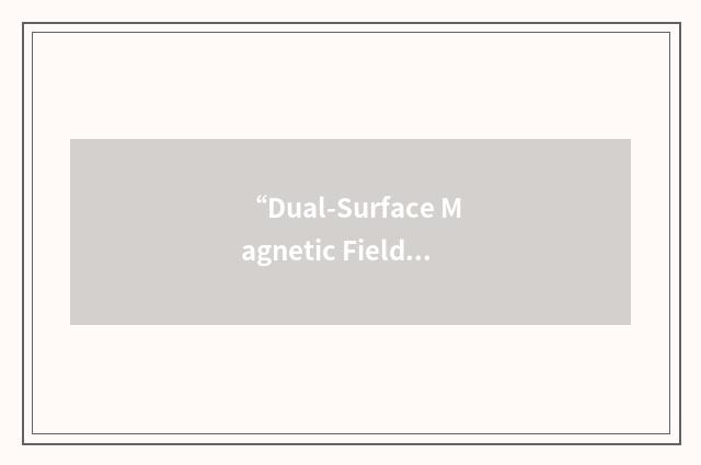 “Dual-Surface Magnetic Field Integral Equation”缩略