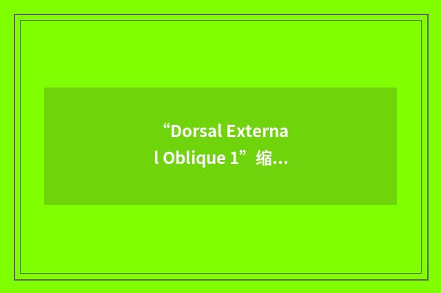 “Dorsal External Oblique 1”缩略
