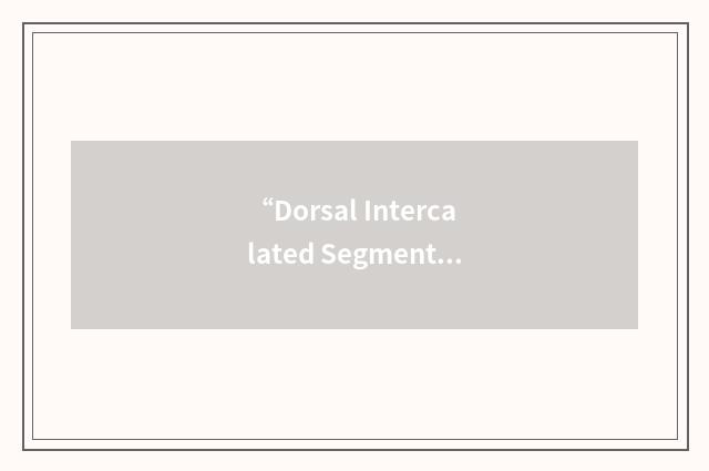 “Dorsal Intercalated Segment Instability”缩略