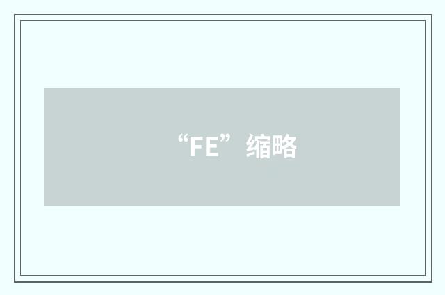 “FE”缩略