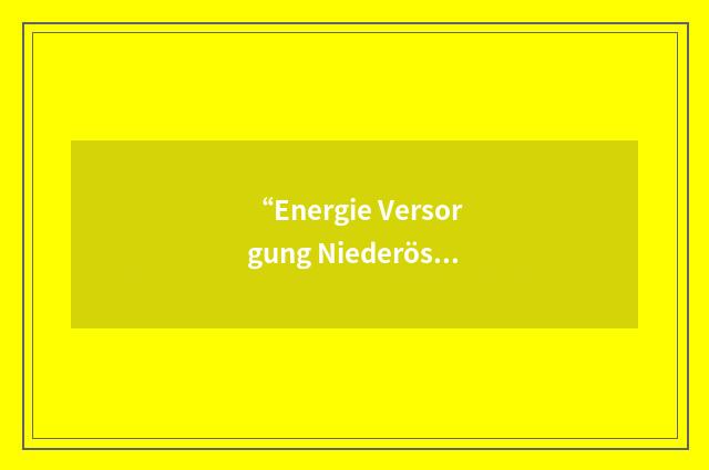 “Energie Versorgung Niederösterreich AG”缩略