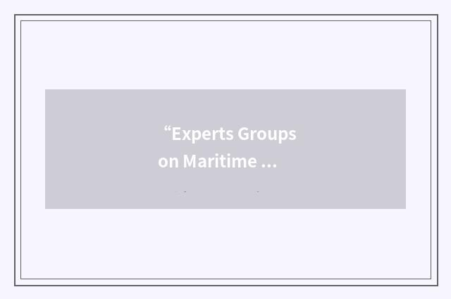 “Experts Groups on Maritime Safety”缩略