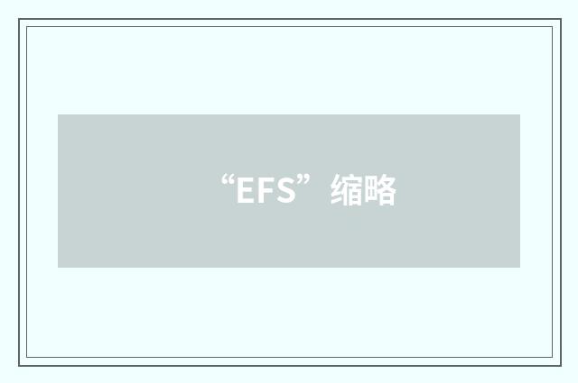 “EFS”缩略