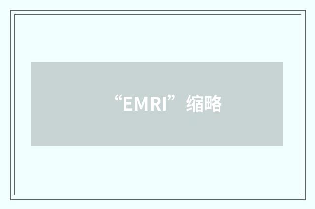 “EMRI”缩略