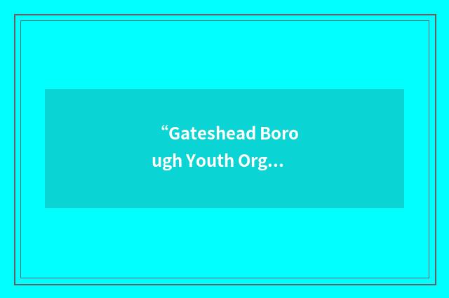 “Gateshead Borough Youth Organisations Council”缩略