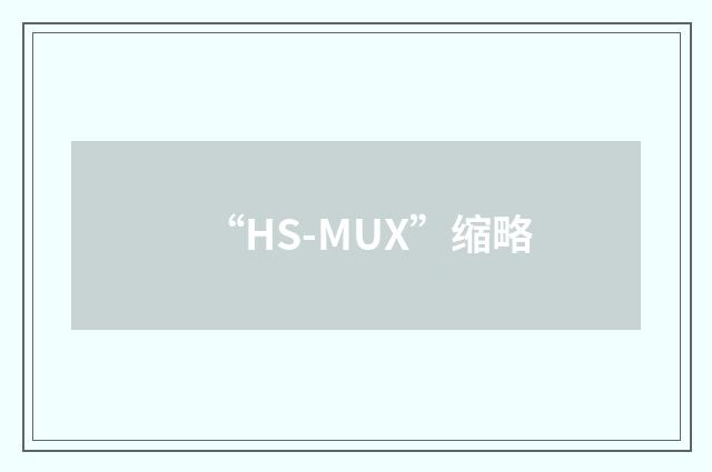 “HS-MUX”缩略