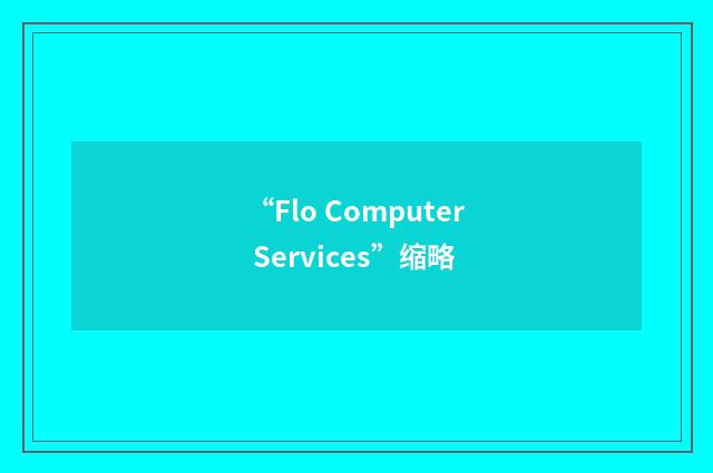 “Flo Computer Services”缩略
