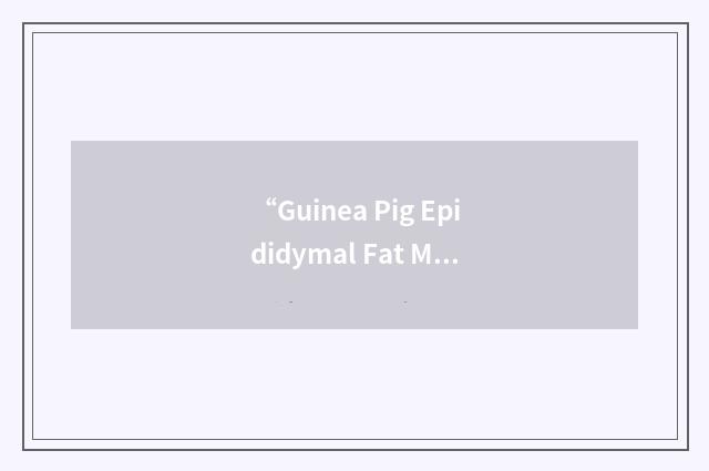 “Guinea Pig Epididymal Fat Membrane”缩略
