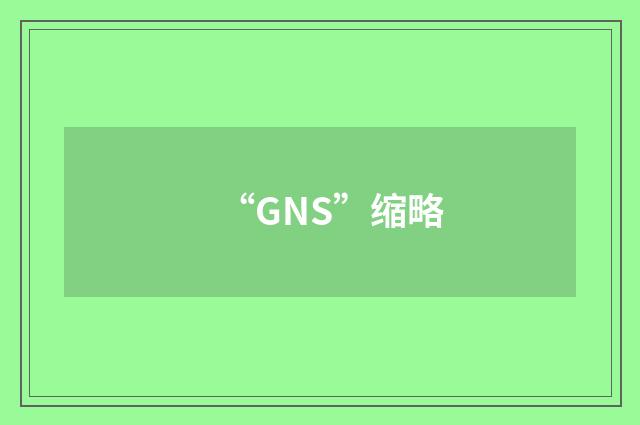 “GNS”缩略