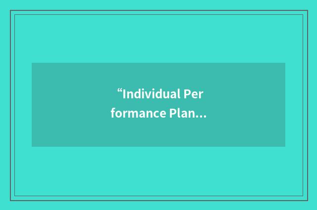 “Individual Performance Plan”缩略
