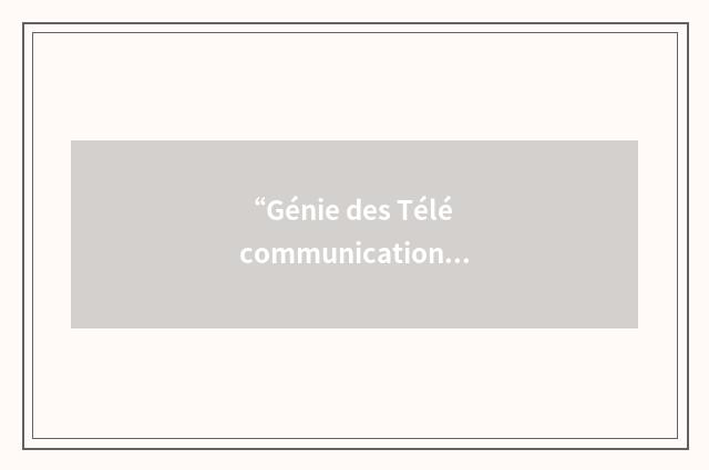 “Génie des Télécommunications et Réseaux”缩略