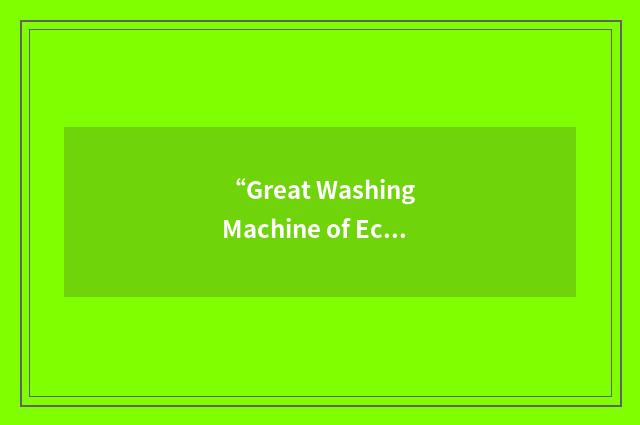 “Great Washing Machine of Economics”缩略