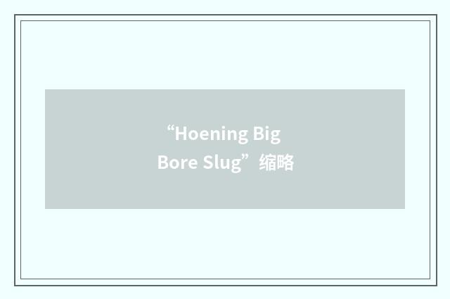 “Hoening Big Bore Slug”缩略