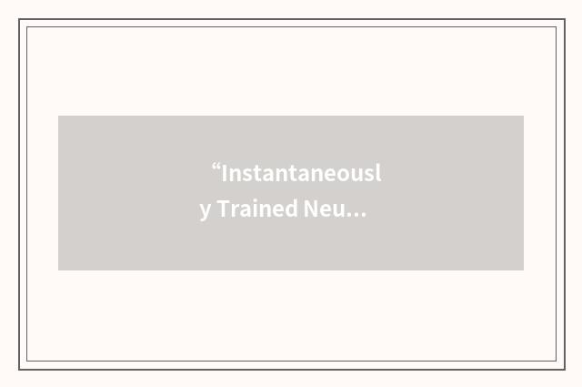 “Instantaneously Trained Neural Networks”缩略
