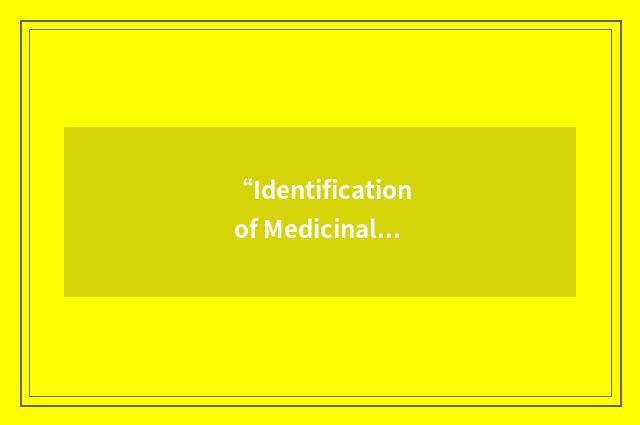 “Identification of Medicinal Products”缩略