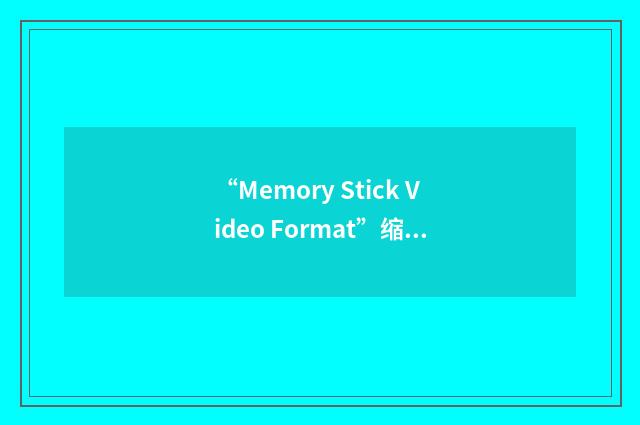 “Memory Stick Video Format”缩略