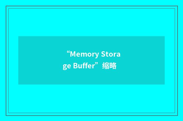 “Memory Storage Buffer”缩略