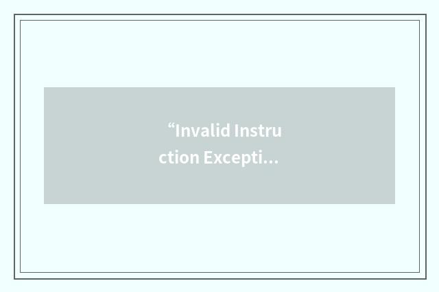 “Invalid Instruction Exception”缩略