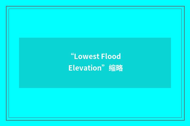 “Lowest Flood Elevation”缩略