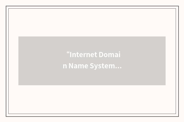 “Internet Domain Name System”缩略