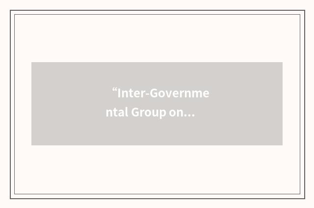 “Inter-Governmental Group on Indonesia”缩略