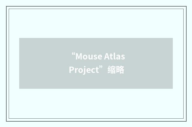 “Mouse Atlas Project”缩略