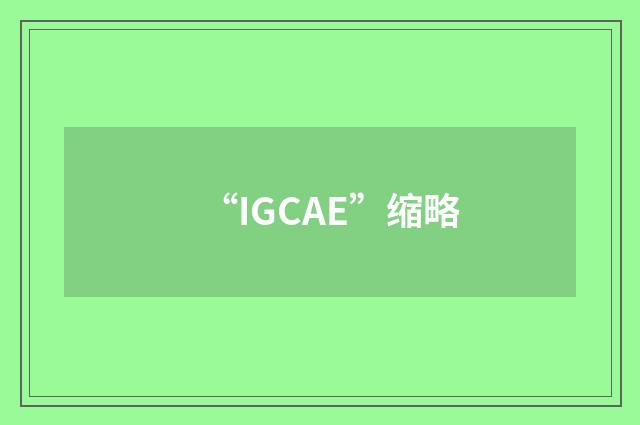 “IGCAE”缩略