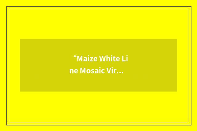 “Maize White Line Mosaic Virus”缩略