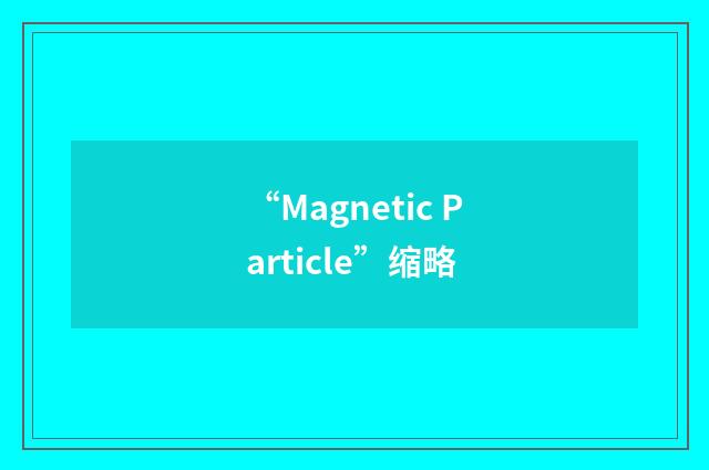 “Magnetic Particle”缩略