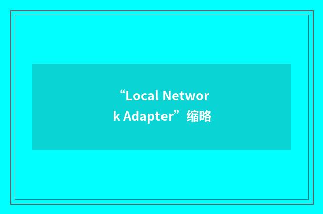“Local Network Adapter”缩略