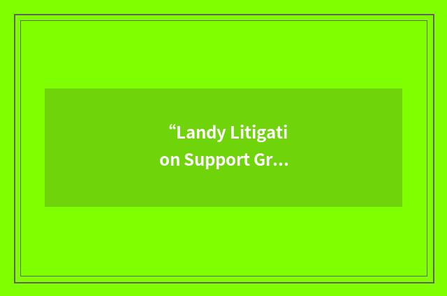 “Landy Litigation Support Group”缩略