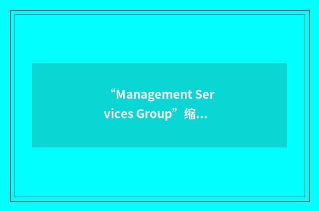 “Management Services Group”缩略