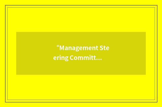 “Management Steering Committee for Process Improvement”缩略