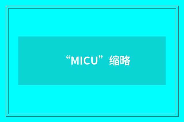 “MICU”缩略