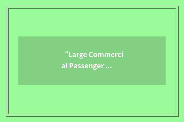 “Large Commercial Passenger Vessel”缩略