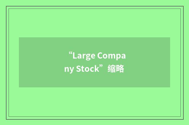“Large Company Stock”缩略