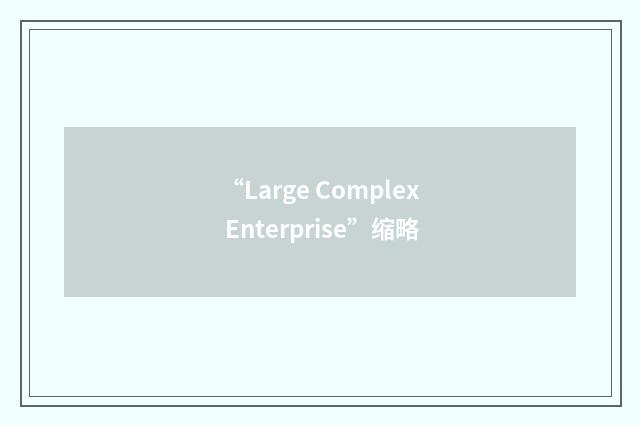 “Large Complex Enterprise”缩略