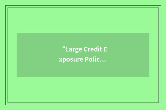 “Large Credit Exposure Policy”缩略