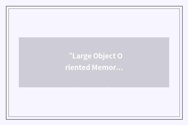 “Large Object Oriented Memory”缩略